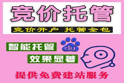 百度竞价公司案例分析：优化策略全解析